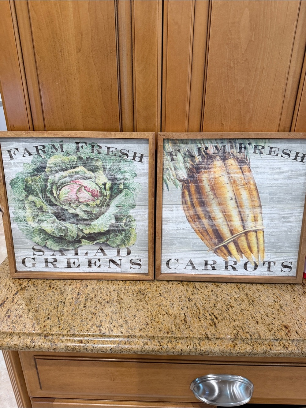 Pier 1 Farm Fresh Salad Greens & Carrots Wall Art – Green and Orange Prints
